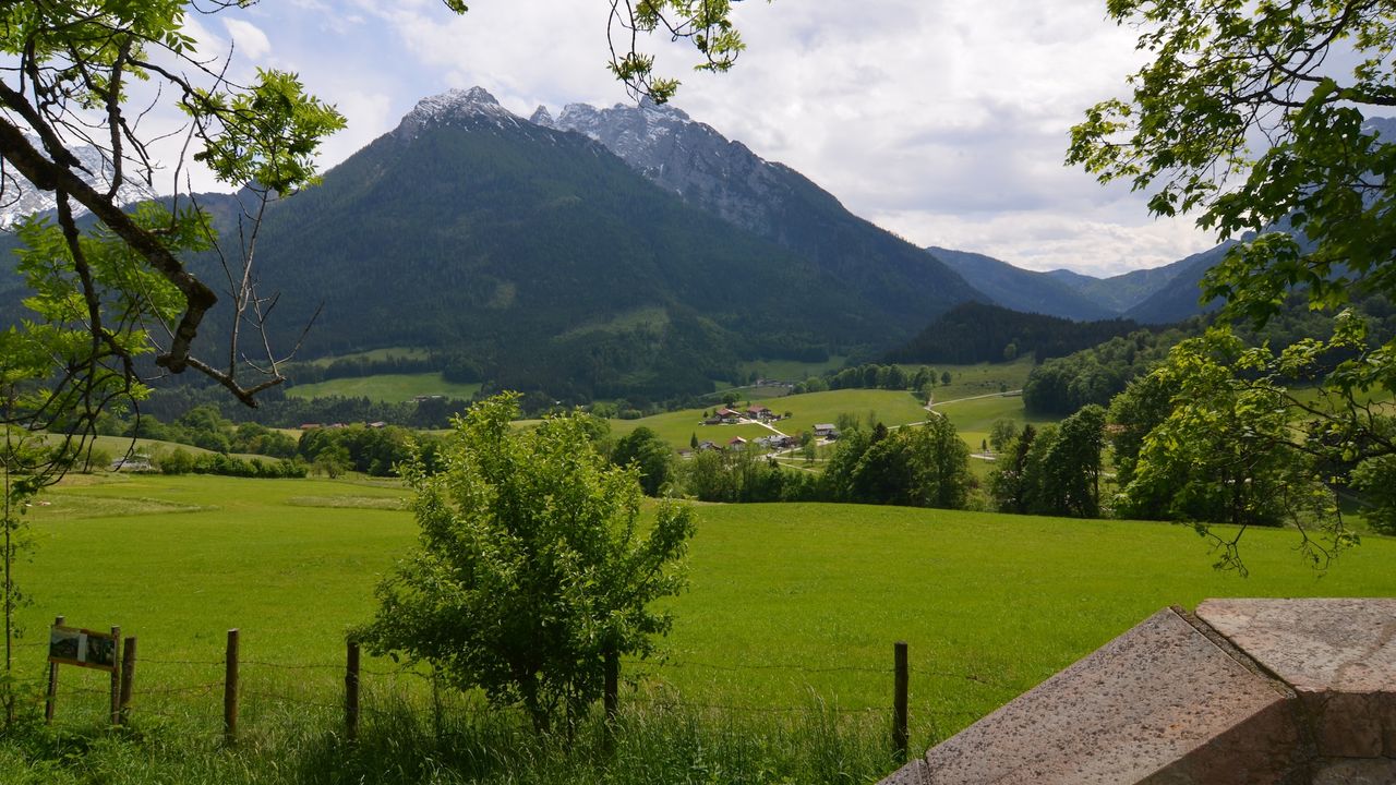 AreaSummer5KM AreaSummer5KM